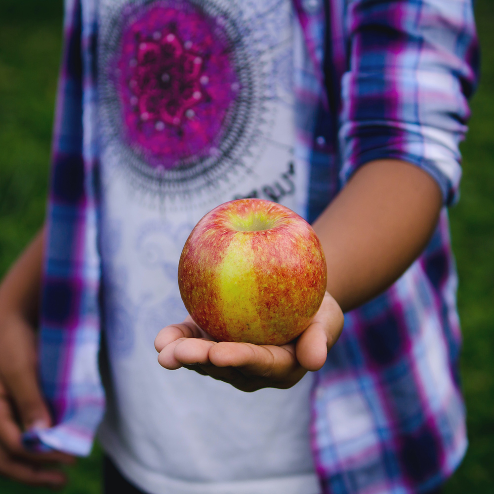 Nascor Formación imparte 100 talleres de alimentación saludable y prevención de TCA en centros educativos y de mayores